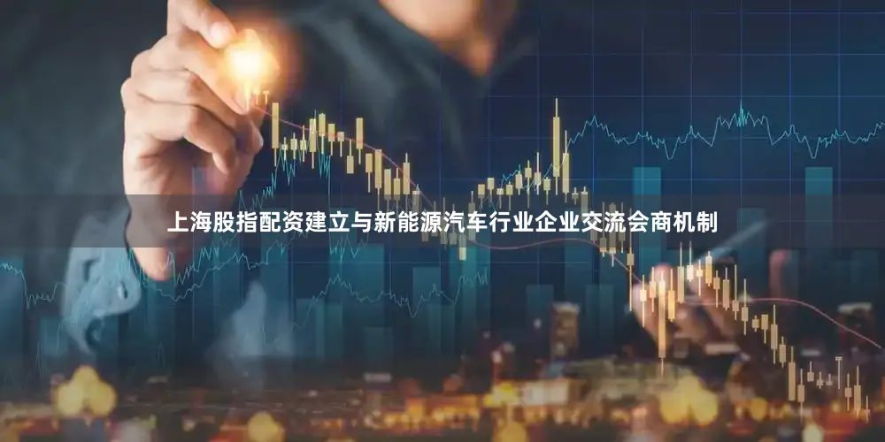 上海股指配资建立与新能源汽车行业企业交流会商机制