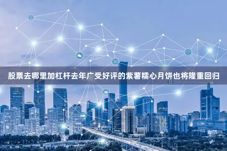 股票去哪里加杠杆去年广受好评的紫薯糯心月饼也将隆重回归
