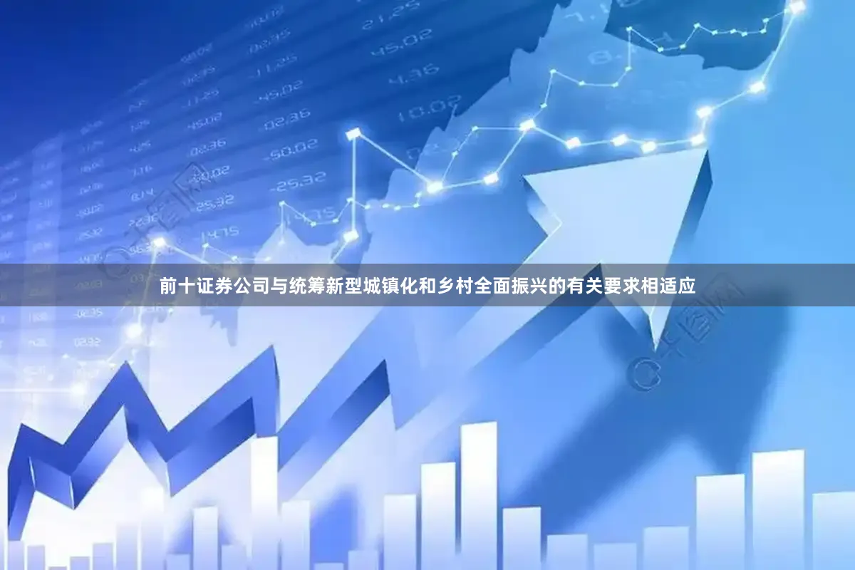 前十证券公司与统筹新型城镇化和乡村全面振兴的有关要求相适应