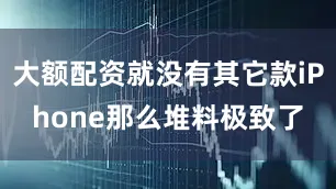 大额配资就没有其它款iPhone那么堆料极致了