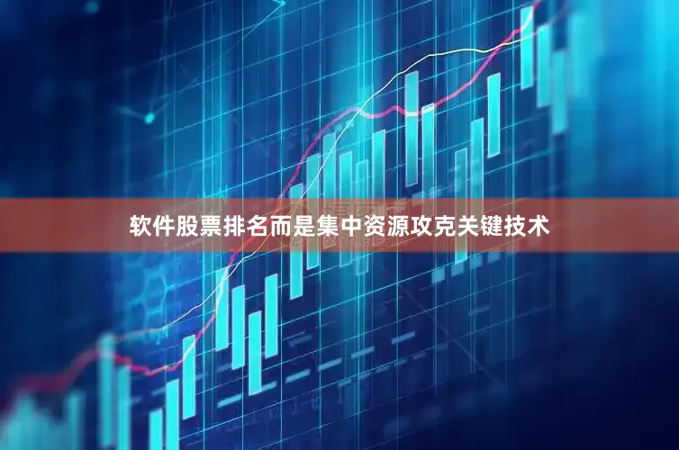 软件股票排名而是集中资源攻克关键技术